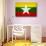 Myanmar Flag Design with Wood Patterning - Flags of the World Series-Philippe Hugonnard-Art Print displayed on a wall