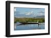 Myanmar, Inle Lake. Woman Rowing Her Dugout Past Tomatoes Growing Hydroponically on Inle Lake-Brenda Tharp-Framed Photographic Print