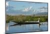 Myanmar, Inle Lake. Woman Rowing Her Dugout Past Tomatoes Growing Hydroponically on Inle Lake-Brenda Tharp-Mounted Photographic Print