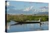 Myanmar, Inle Lake. Woman Rowing Her Dugout Past Tomatoes Growing Hydroponically on Inle Lake-Brenda Tharp-Stretched Canvas