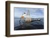 Myanmar, Inle Lake. Young Fisherman Demonstrates a Traditional Rowing Technique-Brenda Tharp-Framed Photographic Print