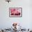 Myanmar, Mandalay Division, Bagan. Portrait of Three Novice Monks under Red Umbrellas (Mr)-Matteo Colombo-Framed Photographic Print displayed on a wall