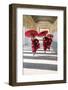 Myanmar, Mandalay Division, Bagan. Three Novice Monks Running with Red Umbrellas in a Walkway (Mr)-Matteo Colombo-Framed Premium Photographic Print