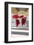 Myanmar, Mandalay Division, Bagan. Three Novice Monks Running with Red Umbrellas in a Walkway (Mr)-Matteo Colombo-Framed Premium Photographic Print