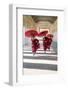 Myanmar, Mandalay Division, Bagan. Three Novice Monks Running with Red Umbrellas in a Walkway (Mr)-Matteo Colombo-Framed Premium Photographic Print