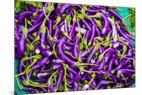 Myanmar. Mandalay. Eggplant for Sale in the Market-Inger Hogstrom-Mounted Premium Photographic Print