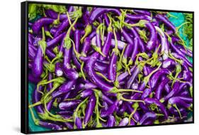 Myanmar. Mandalay. Eggplant for Sale in the Market-Inger Hogstrom-Framed Stretched Canvas