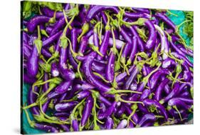 Myanmar. Mandalay. Eggplant for Sale in the Market-Inger Hogstrom-Stretched Canvas