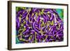 Myanmar. Mandalay. Eggplant for Sale in the Market-Inger Hogstrom-Framed Photographic Print