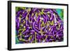 Myanmar. Mandalay. Eggplant for Sale in the Market-Inger Hogstrom-Framed Photographic Print