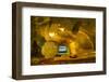 Myanmar. Mandalay. Kusinara Pagoda. Reclining Buddha-Inger Hogstrom-Framed Photographic Print