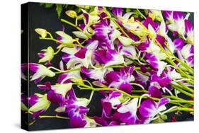 Myanmar. Mandalay. Orchids for Sale in the Market-Inger Hogstrom-Stretched Canvas