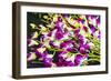 Myanmar. Mandalay. Orchids for Sale in the Market-Inger Hogstrom-Framed Photographic Print