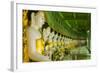 Myanmar. Mandalay. Sagaing Hill. Thirty Caves Temple. Row of Buddhas-Inger Hogstrom-Framed Photographic Print