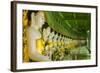 Myanmar. Mandalay. Sagaing Hill. Thirty Caves Temple. Row of Buddhas-Inger Hogstrom-Framed Photographic Print