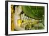 Myanmar. Mandalay. Sagaing Hill. Thirty Caves Temple. Row of Buddhas-Inger Hogstrom-Framed Photographic Print