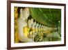 Myanmar. Mandalay. Sagaing Hill. Thirty Caves Temple. Row of Buddhas-Inger Hogstrom-Framed Photographic Print