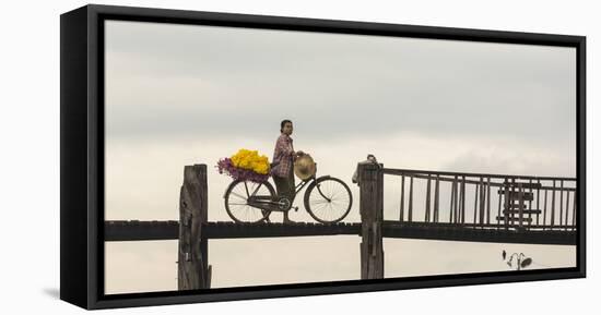 Myanmar, Mandalay. Woman Walks Her Flower-Laden Bicycle across U Bein Bridge-Brenda Tharp-Framed Stretched Canvas