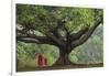 Myanmar, Pindaya. Buddhist Monks under Giant Banyan Tree-Jaynes Gallery-Framed Photographic Print