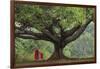 Myanmar, Pindaya. Buddhist Monks under Giant Banyan Tree-Jaynes Gallery-Framed Photographic Print