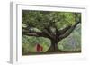 Myanmar, Pindaya. Buddhist Monks under Giant Banyan Tree-Jaynes Gallery-Framed Photographic Print