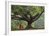 Myanmar, Pindaya. Buddhist Monks under Giant Banyan Tree-Jaynes Gallery-Framed Photographic Print