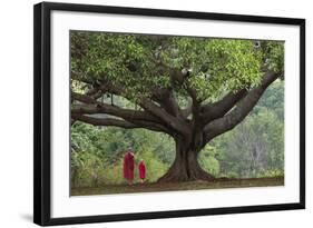 Myanmar, Pindaya. Buddhist Monks under Giant Banyan Tree-Jaynes Gallery-Framed Photographic Print