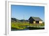 Myanmar. Shan State. Inle Lake. Floating Farm-Inger Hogstrom-Framed Photographic Print