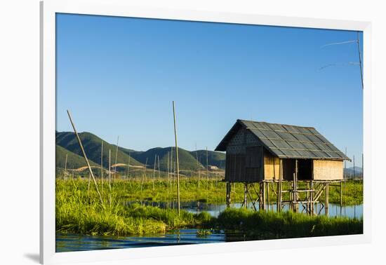 Myanmar. Shan State. Inle Lake. Floating Farm-Inger Hogstrom-Framed Photographic Print