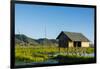 Myanmar. Shan State. Inle Lake. Floating Farm-Inger Hogstrom-Framed Photographic Print