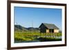 Myanmar. Shan State. Inle Lake. Floating Farm-Inger Hogstrom-Framed Photographic Print