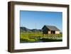 Myanmar. Shan State. Inle Lake. Floating Farm-Inger Hogstrom-Framed Photographic Print