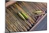 Myanmar. Shan State. Inle Lake. Wooden Shuttles Used in Silk Weaving-Inger Hogstrom-Mounted Photographic Print