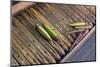 Myanmar. Shan State. Inle Lake. Wooden Shuttles Used in Silk Weaving-Inger Hogstrom-Mounted Photographic Print