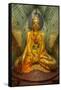 Myanmar, Yangon. Buddha Statue in Shwedagon Temple-Jaynes Gallery-Framed Stretched Canvas