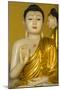 Myanmar. Yangon. Shwedagon Pagoda. Buddha in the Discussion Mudra-Inger Hogstrom-Mounted Photographic Print