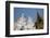 Myanmar, Yangon. Shwedagon Pagoda, Holiest Buddhist Shrine in Myanmar-Cindy Miller Hopkins-Framed Photographic Print