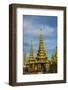 Myanmar. Yangon. Shwedagon Pagoda. Young Buddhist Nuns-Inger Hogstrom-Framed Photographic Print