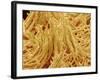 Mycelium of Mushroom-Micro Discovery-Framed Photographic Print