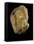 Mycenaean Art : Gold Lion's Head Rhyton-null-Framed Stretched Canvas