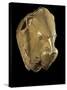 Mycenaean Art : Gold Lion's Head Rhyton-null-Stretched Canvas