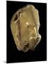 Mycenaean Art : Gold Lion's Head Rhyton-null-Mounted Photographic Print