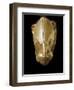 Mycenaean Art : Gold Lion's Head Rhyton-null-Framed Photographic Print