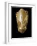 Mycenaean Art : Gold Lion's Head Rhyton-null-Framed Photographic Print