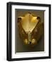 Mycenaean Art. Greece. Rhyton as Lion's Head Embossed in Gold Foil-null-Framed Giclee Print