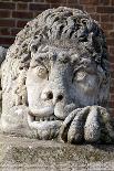 Stony Lion on the Town Hall Tower on Main Market Square in Cracow in Poland-mychadre77-Framed Photographic Print