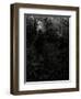 Myclub-Tim Kahane-Framed Photographic Print