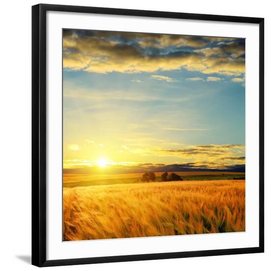 Premium Photographic Print, , large
