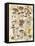 Mycological Study-Naomi McCavitt-Framed Stretched Canvas