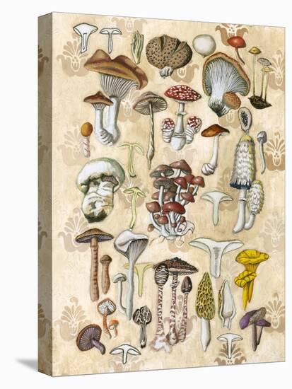 Mycological Study-Naomi McCavitt-Stretched Canvas